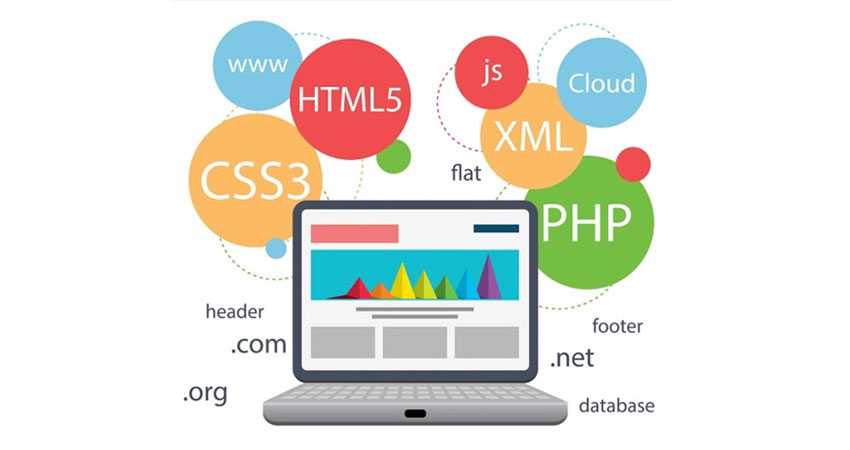 آشنایی با رشته «طراحی و توسعه صفحات وب»